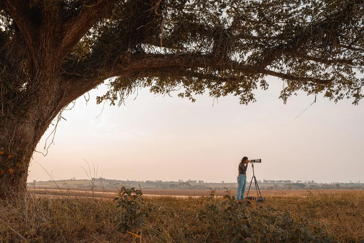 How to Photograph a Folly: Composition, Light and Lens Tips for Beginners